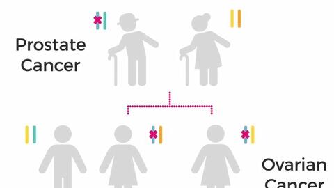 Các xét nghiệm di truyền dự đoán cho các gen nguy cơ ung thư